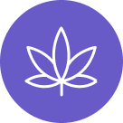 icon for pop bar cartons_display packaging