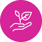 icon for granola bar wrapper_granola packaging